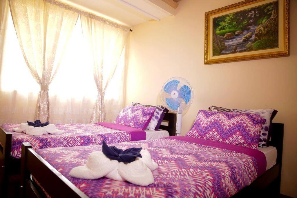 Florabells Iraya Guest House - Batanes Basco Eksteriør bilde